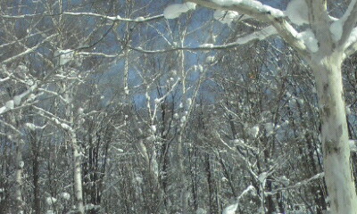 a0028444_17425980.jpg