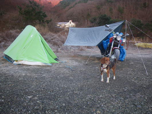 f0046250_233759.jpg