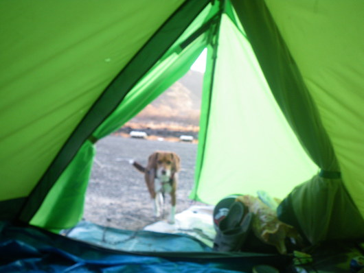 f0046250_23545453.jpg