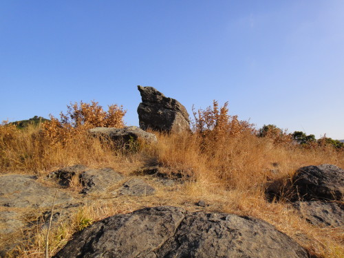 c0179351_21425784.jpg