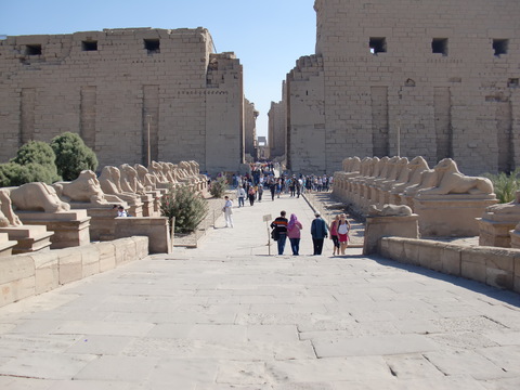 c0206352_3503160.jpg