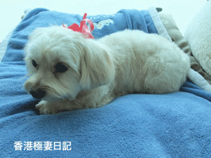f0190653_13504022.gif