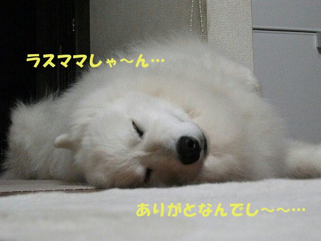 e0176159_15391769.jpg