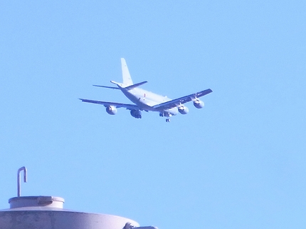 f0048860_5274323.jpg