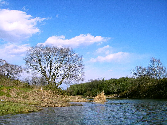 f0084561_14505916.jpg