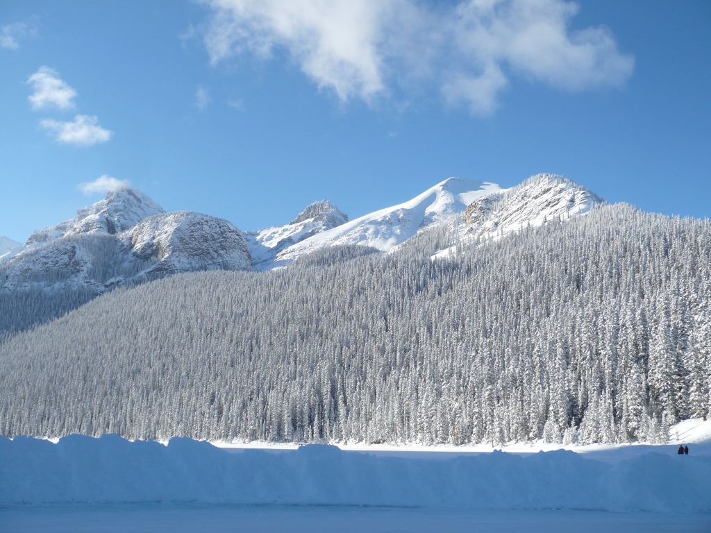 f0214562_9562197.jpg