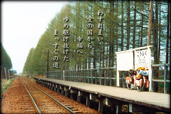 a0197968_16161024.jpg