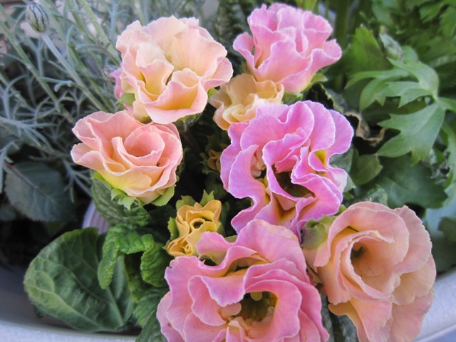 c0202870_23494566.jpg