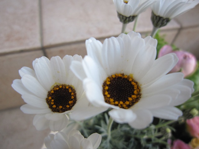 c0202870_23513539.jpg