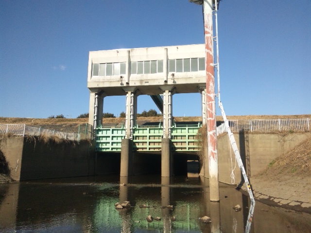 f0073770_23244739.jpg