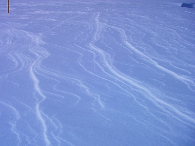 f0182173_10495472.jpg