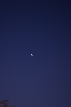 f0054677_8395615.jpg