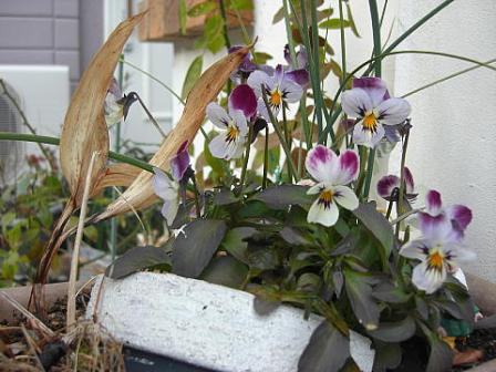 f0014980_2334247.jpg