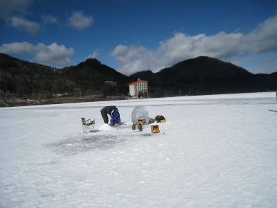 a0038882_946429.jpg