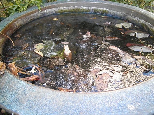 f0130894_215149.jpg