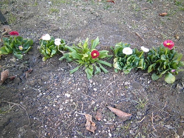 f0130894_2171526.jpg
