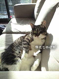 c0035001_149972.jpg