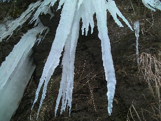 c0121102_9124987.jpg