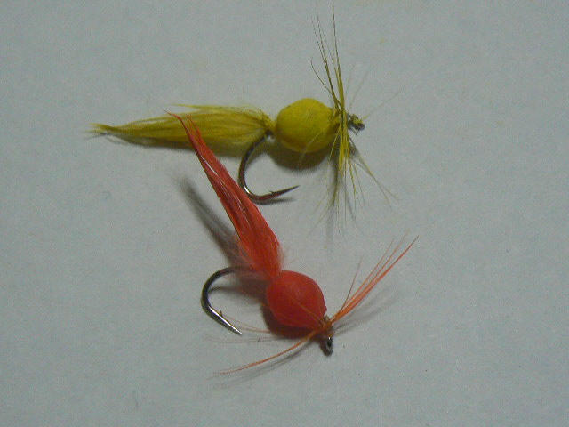 f0164503_2041766.jpg