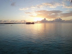 e0220205_1823317.jpg