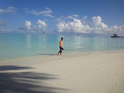 e0220205_18263752.jpg