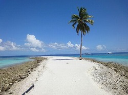 e0220205_18321292.jpg