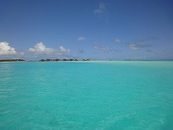 e0220205_1833513.jpg