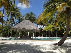 e0220205_18352414.jpg
