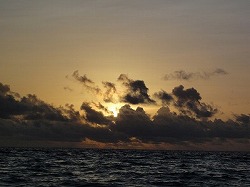 e0220205_19534139.jpg