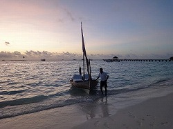 e0220205_1954342.jpg