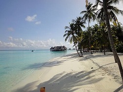 e0220205_201248.jpg