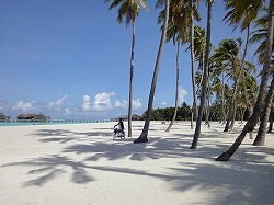 e0220205_2032667.jpg
