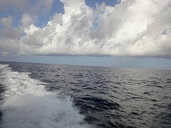 e0220205_2039450.jpg