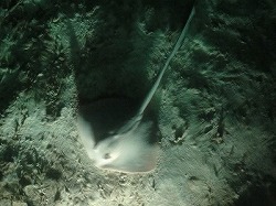 e0220205_20451242.jpg
