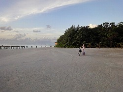 e0220205_22394754.jpg