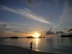 e0220205_22405267.jpg
