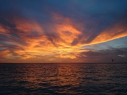 e0220205_2251949.jpg