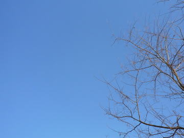 e0070606_3422072.jpg