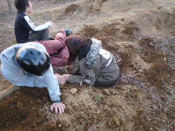 e0070606_351477.jpg
