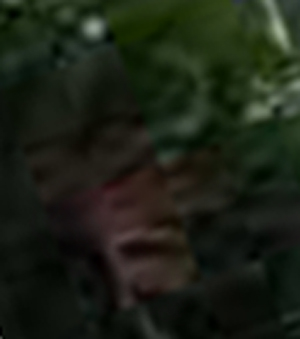 e0103408_13435994.jpg