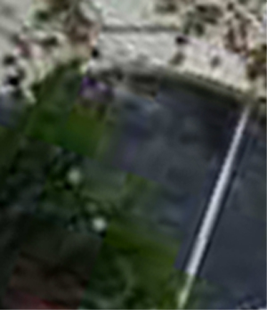 e0103408_1358534.jpg