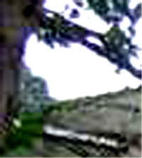 e0103408_1431079.jpg