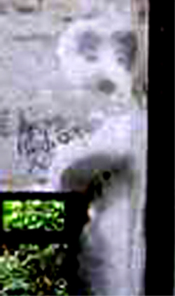 e0103408_143535.jpg