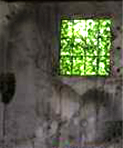e0103408_1441829.jpg