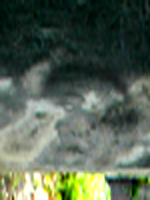 e0103408_1451679.jpg