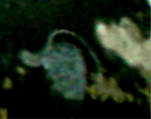 e0103408_1453753.jpg