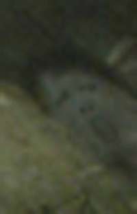 e0103408_1454759.jpg