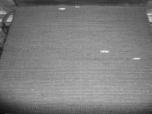 e0190625_6471899.jpg
