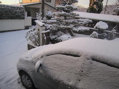 f0177125_133464.jpg