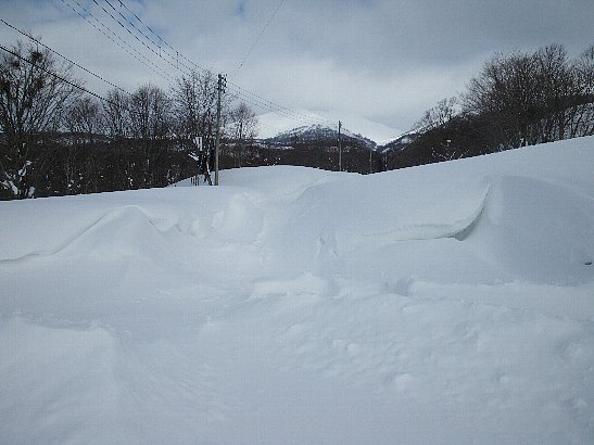 f0118332_2232487.jpg